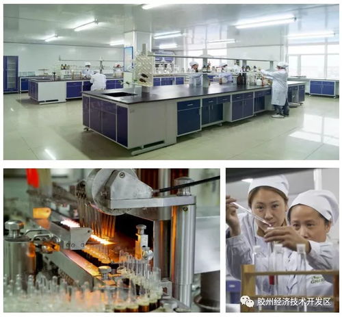 集中簽約，示范區明星企業精彩亮相——精心設計網站助力招商盛會