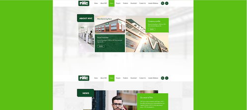 雷士光電官方網站建設項目 構建專業數字門戶，照亮品牌未來